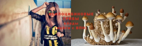мдпв Надым