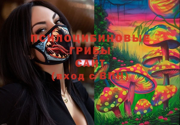 mdpv Грязовец