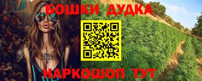 гашик Берёзовский