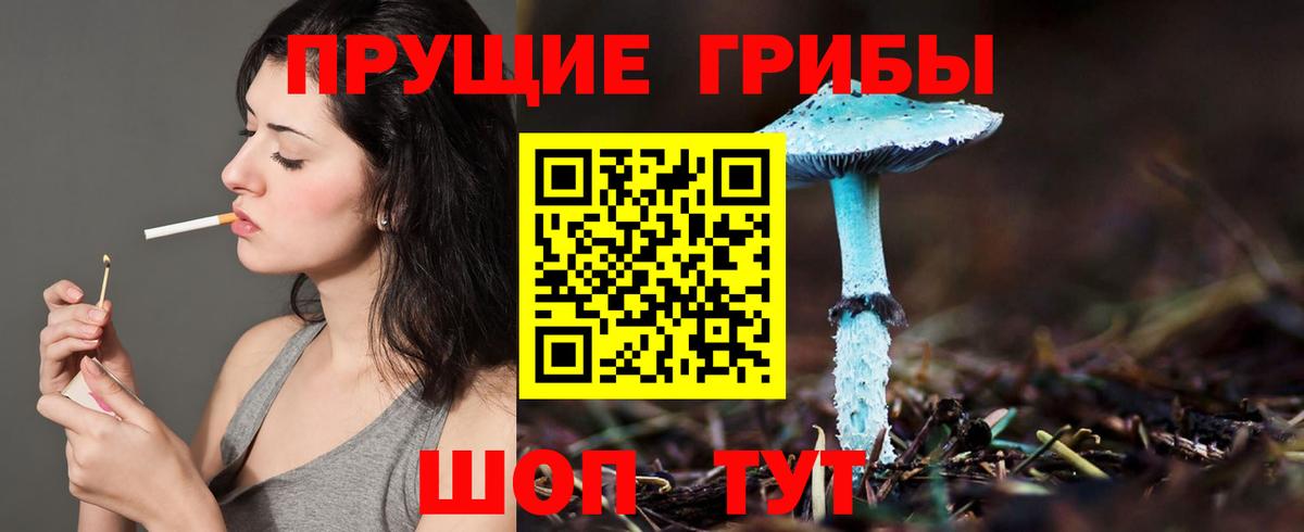 Галлюциногенные грибы GOLDEN TEACHER Дубна