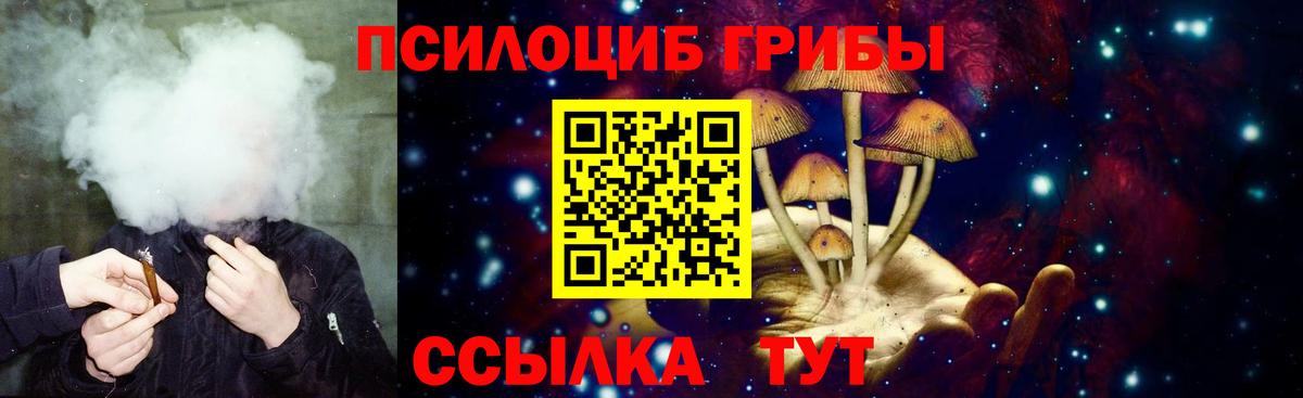 Дубна  Галлюциногенные грибы мухоморы  Вход с VPN  Псилоцибиновые грибы Magic Shrooms 