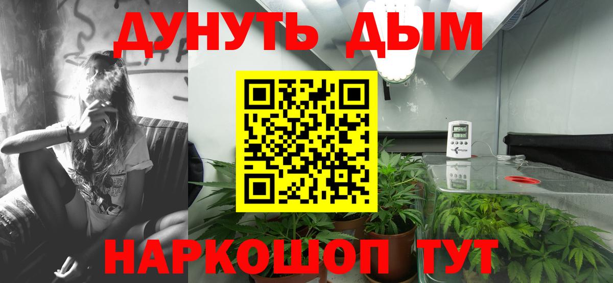 Бошки Шишки Дубна