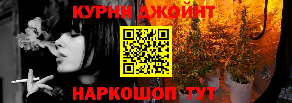 Конопля индика  Дубна  Каннабис сатива  Бошки Шишки тримм  Каннабис план 